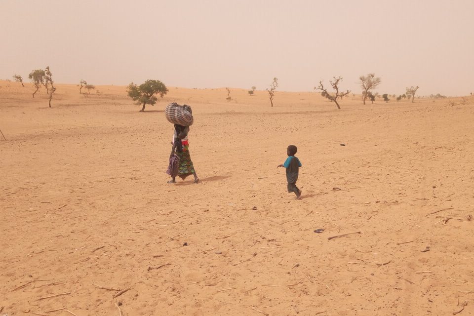 Landscape in Mali.